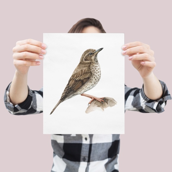 Song Thrush Bird Wall Art Watercolor Illustration Print Poster Card Unframed - Picture 5 of 7